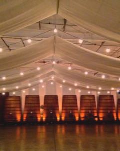 Cline Fabric Canopy