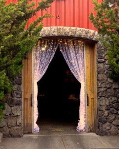 Entry Light Curtain - Day