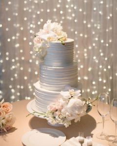Light Curtain Cake Backdrop