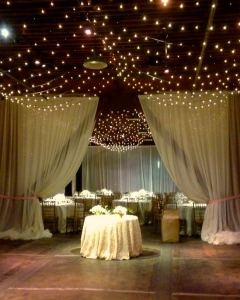 Mini Light Strings Canopy