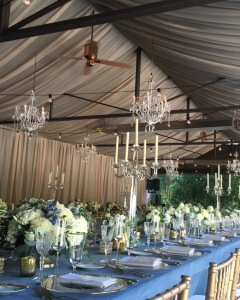 Peaked Canopy / Wall Drape