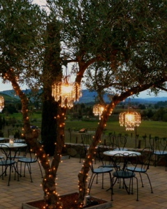 Clear Pendant - Olive Tree