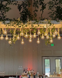 Globe-Light-Cloud-With-Greenery