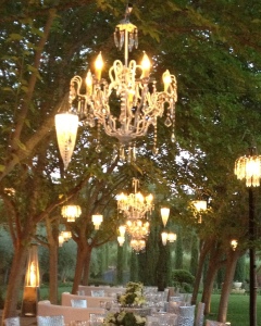 Grove Dining Chandeliers