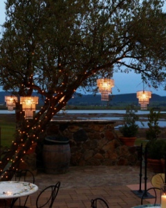 Three Tier - Olive Tree