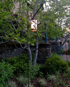 Vine Lantern
