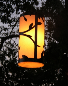 Vine Lantern In Tree