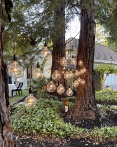 5"Clear Globe Light