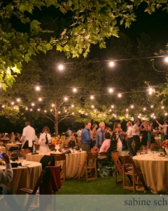 Dining Light Strings