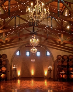 Mini Light Stings and Chandeliers
