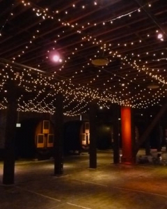 Mini Light Strings 1