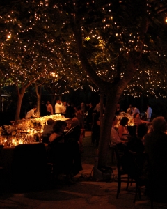 Mini Lights Grove Dining