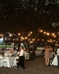 Olive Grove Bistro Strings