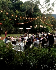 Pendant Chandeliers Lawn Strings