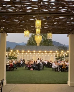Solage-Lawn-Strings-Chandelier-Cluster-1