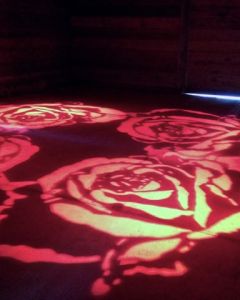 Rose Pattern