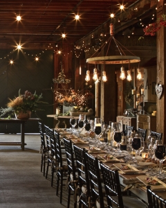 Bare Bulb Hoop Dining