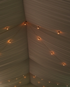 Bare Bulbs