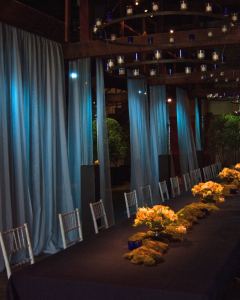Table Spots with Blue Drape Backdrop