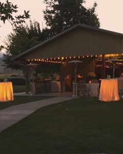 Underlit Table Linens